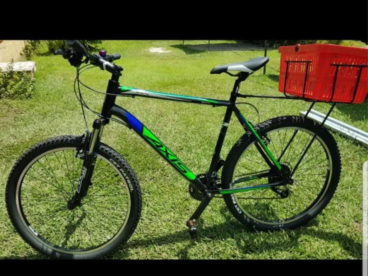 Servizio di noleggio biciclette per adulti