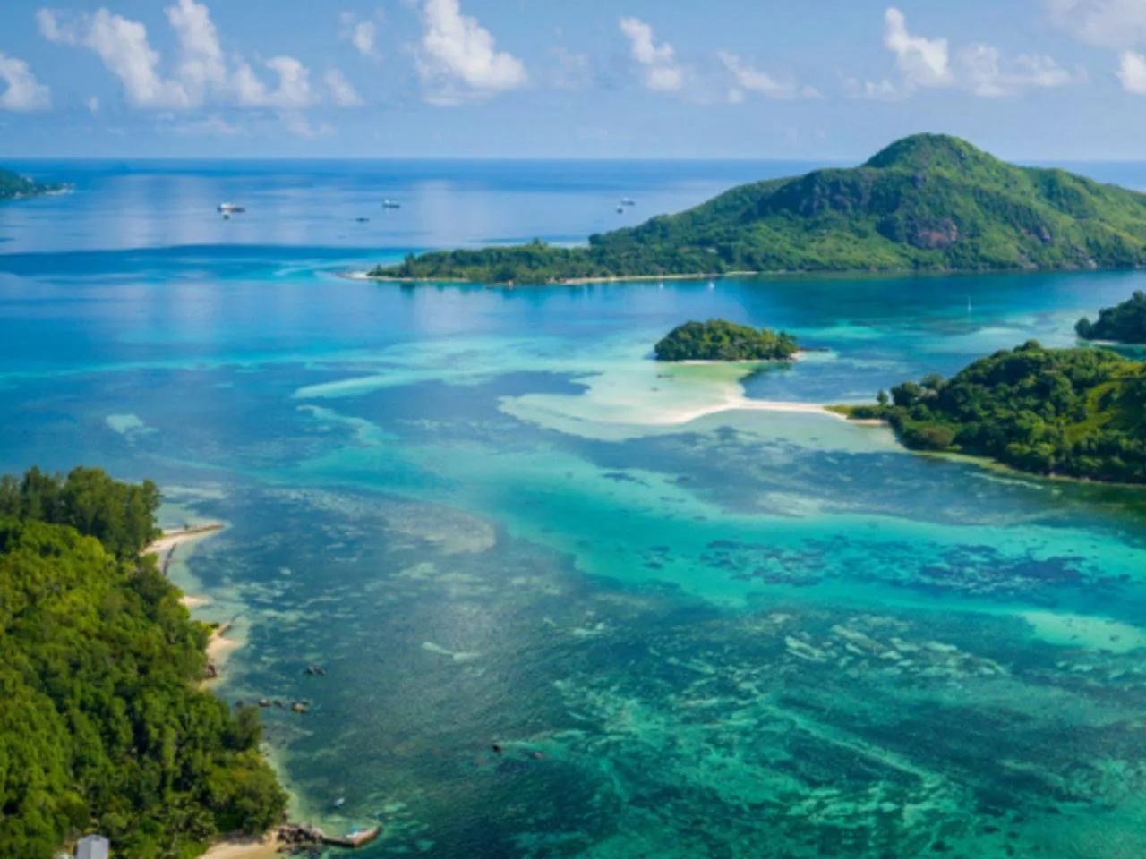 Half-Day Marine Park Snorkeling Tour