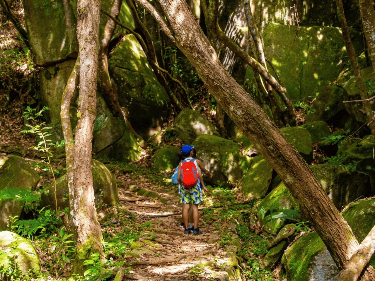 Private Half-Day Trois Frères Nature Guided Trail Hike