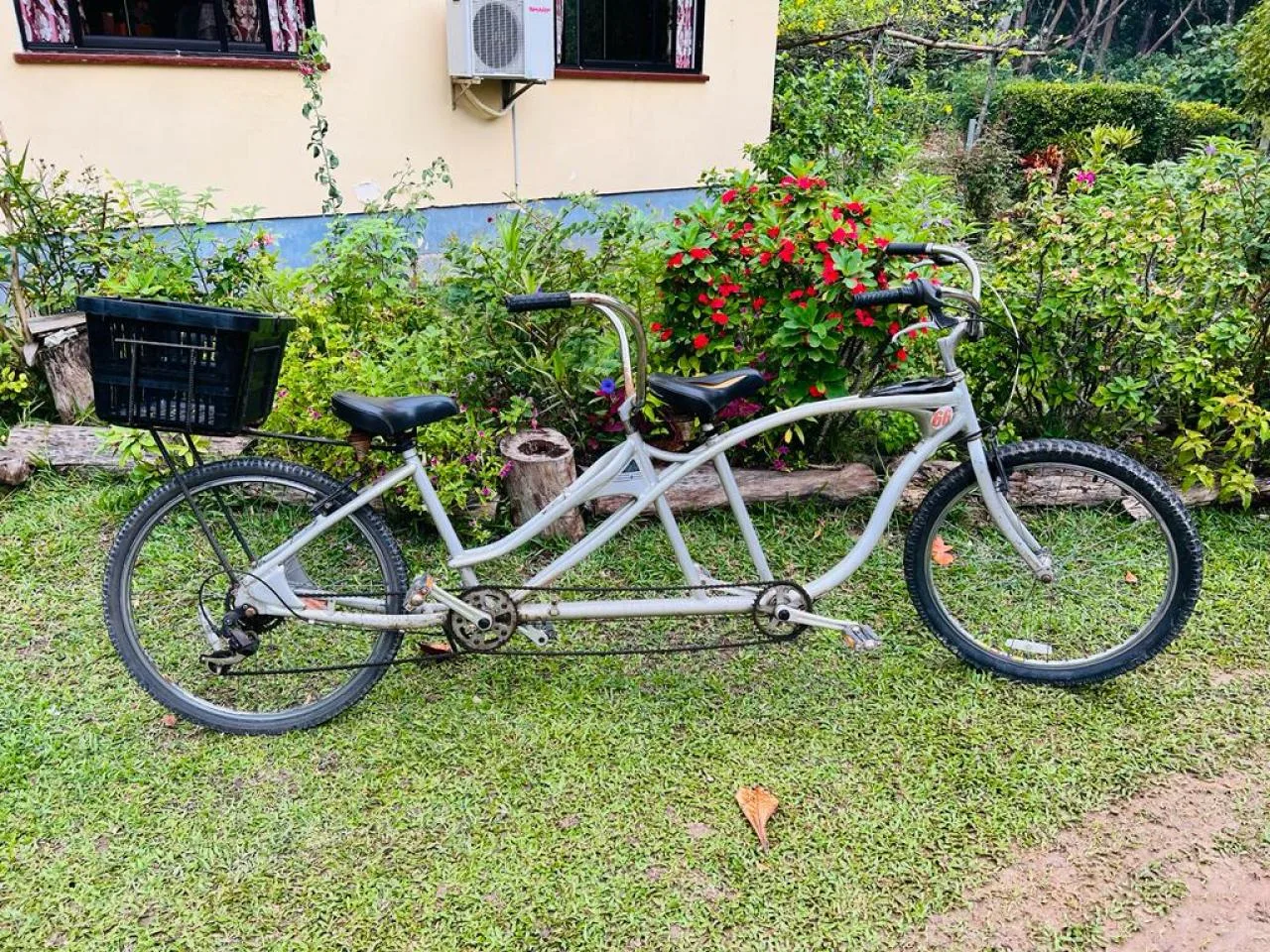 Isla de La Digue: alquile una bicicleta tándem por 1 día