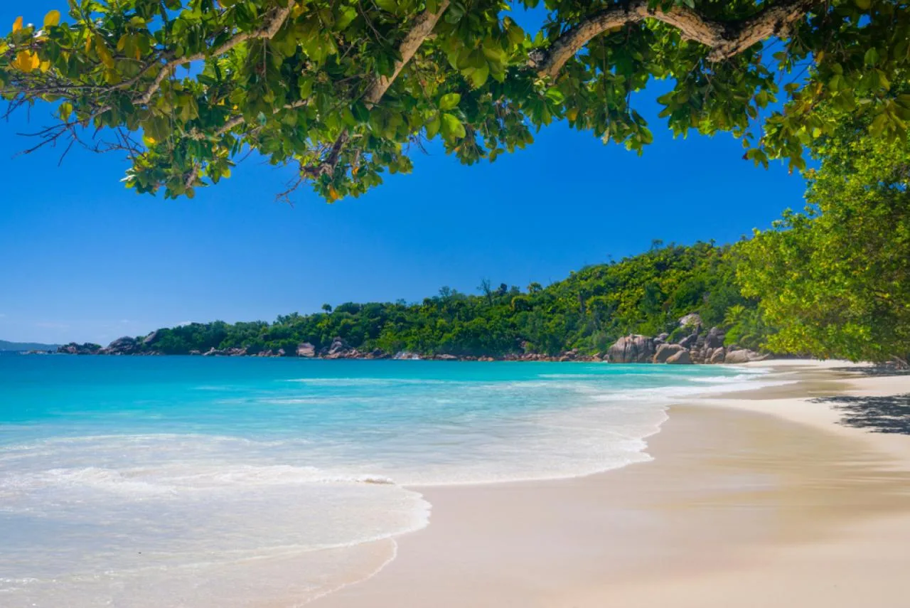 Passeio Particular de Dia Inteiro às Ilhas Praslin, Curieuse e La Digue com Churrasco