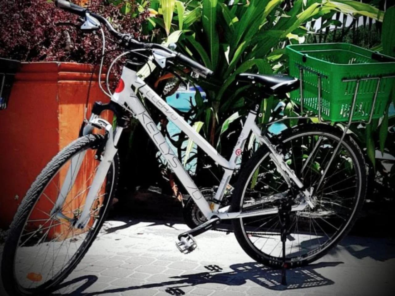 La Digue island bike rental package - Book 4 days & PAY ONLY 3 days!