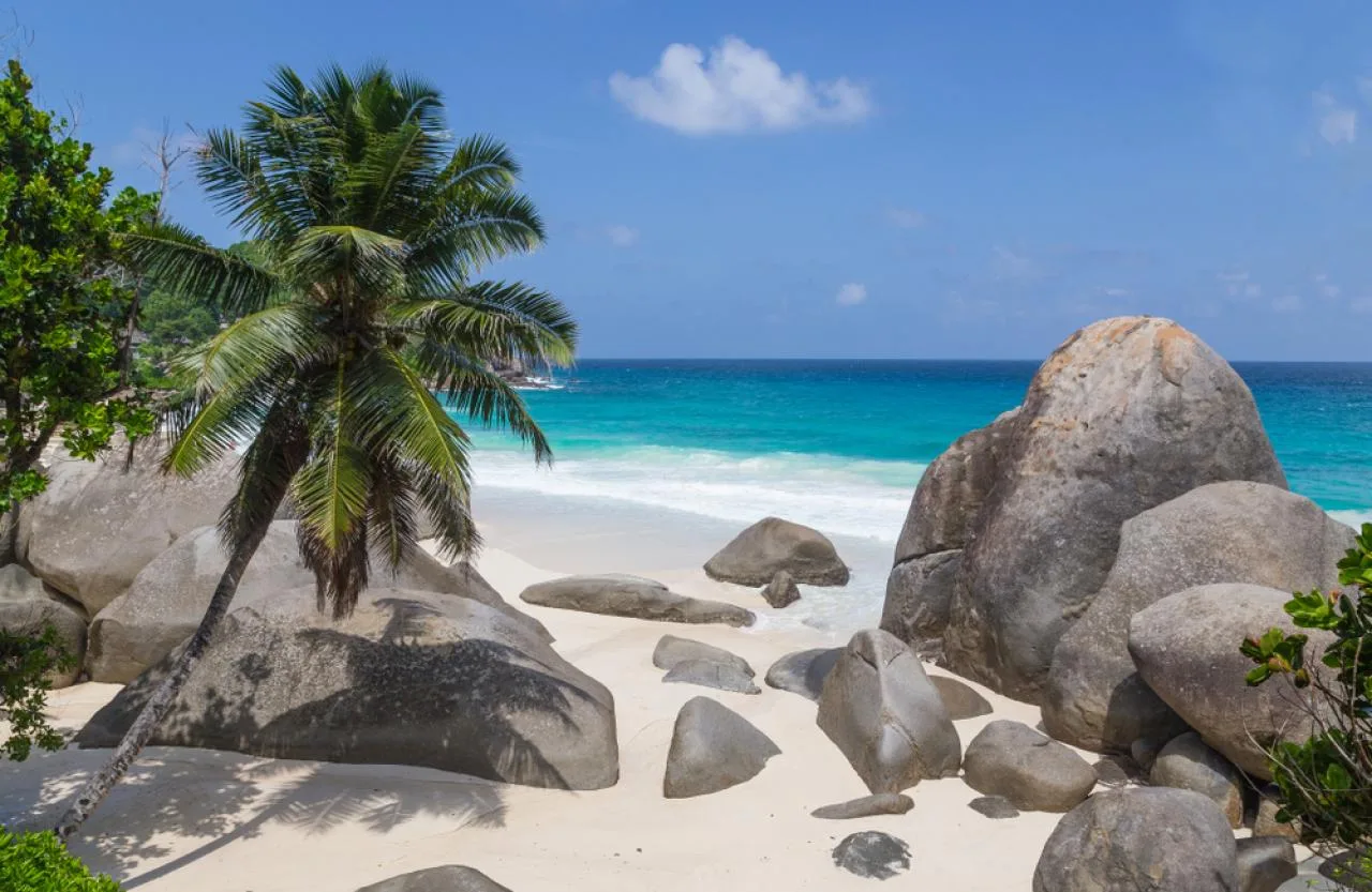 Half-Day Mahé Island Tour: Explore the North