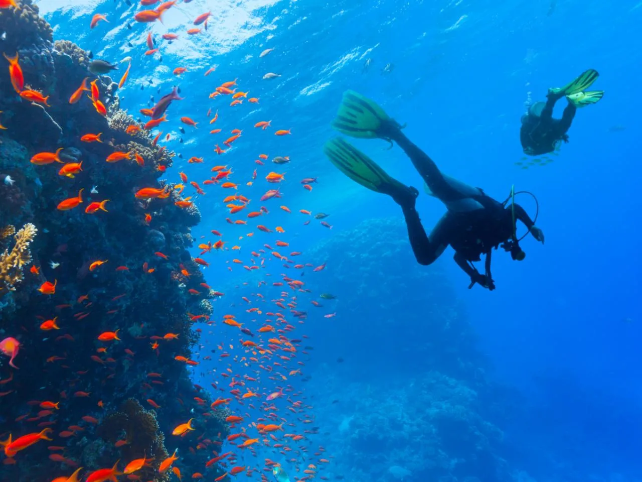 Cours PADI Adventure de 5 plongées, avec bouteille, air et poids compris