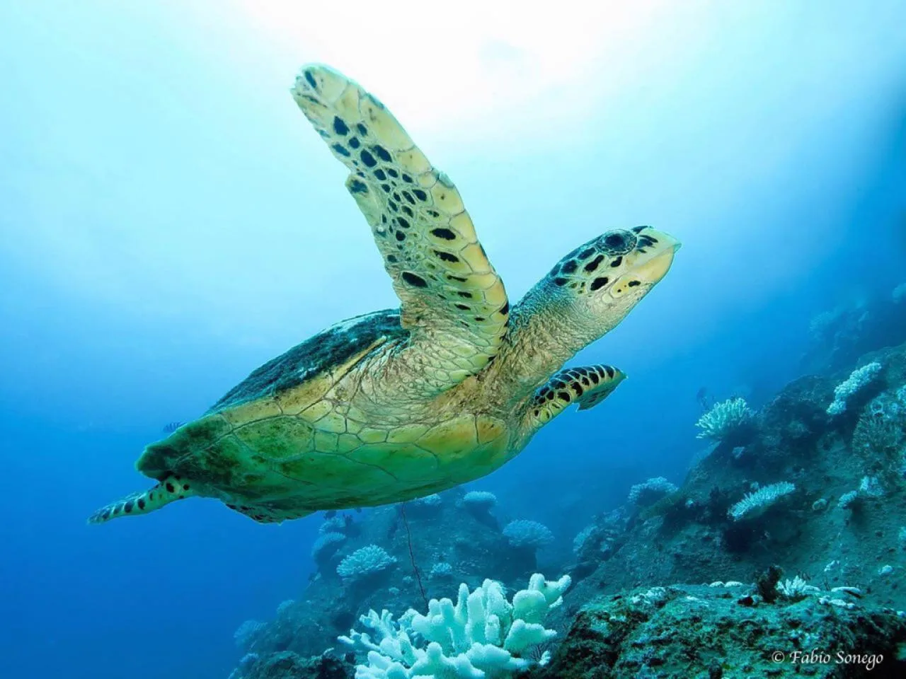 Full-Day Private Boat Charter from La Digue to Visit 3 Islands