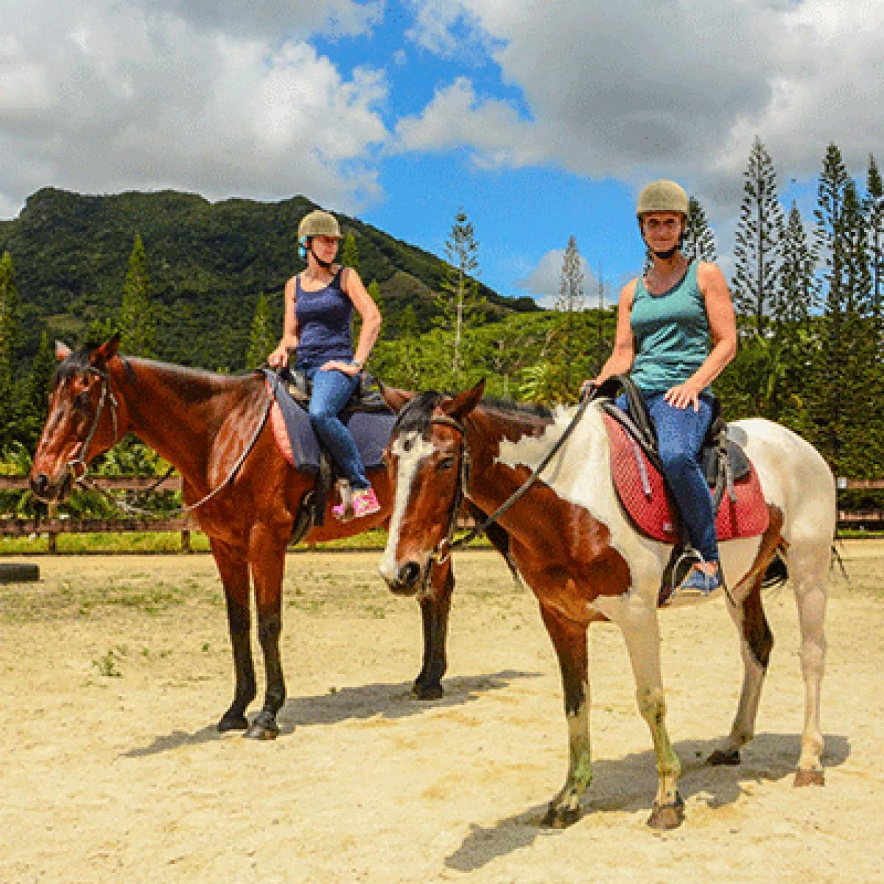 Équitation au Domaine de L'étoile