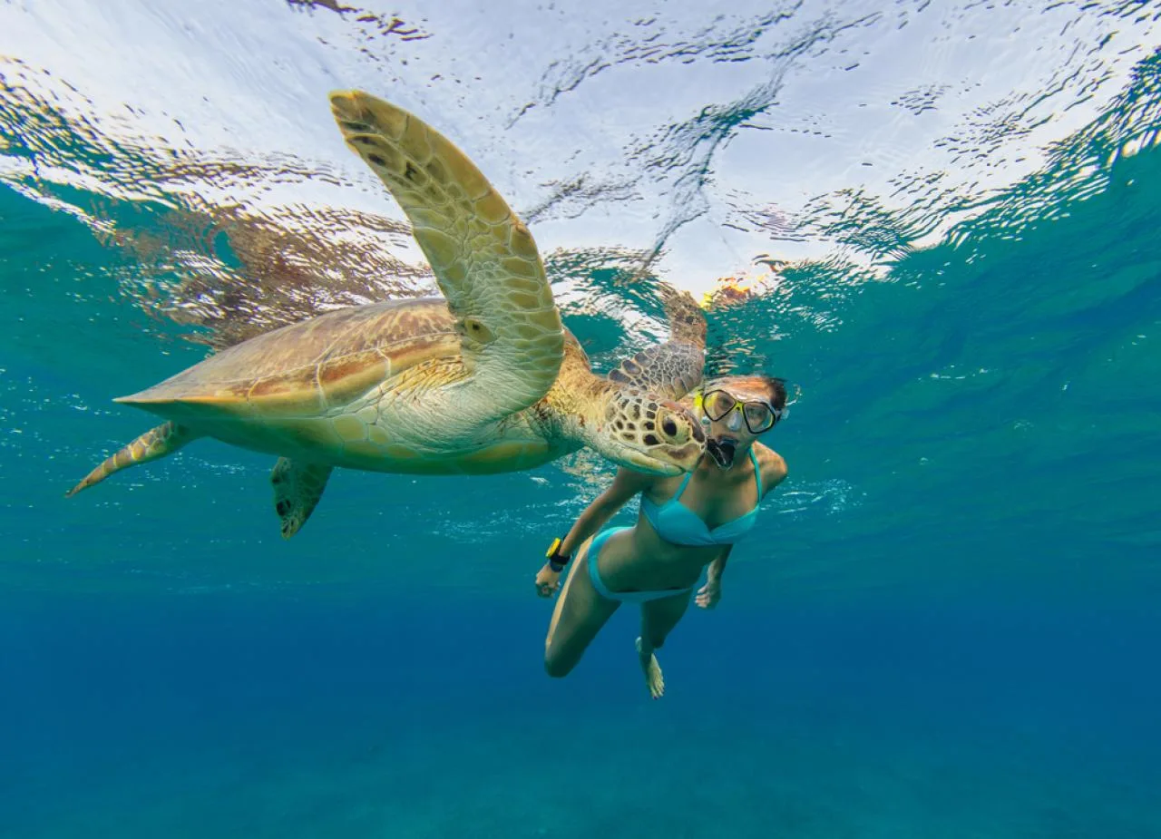 Private Full-Day Fishing & Snorkeling Tour with Lunch in Mahé