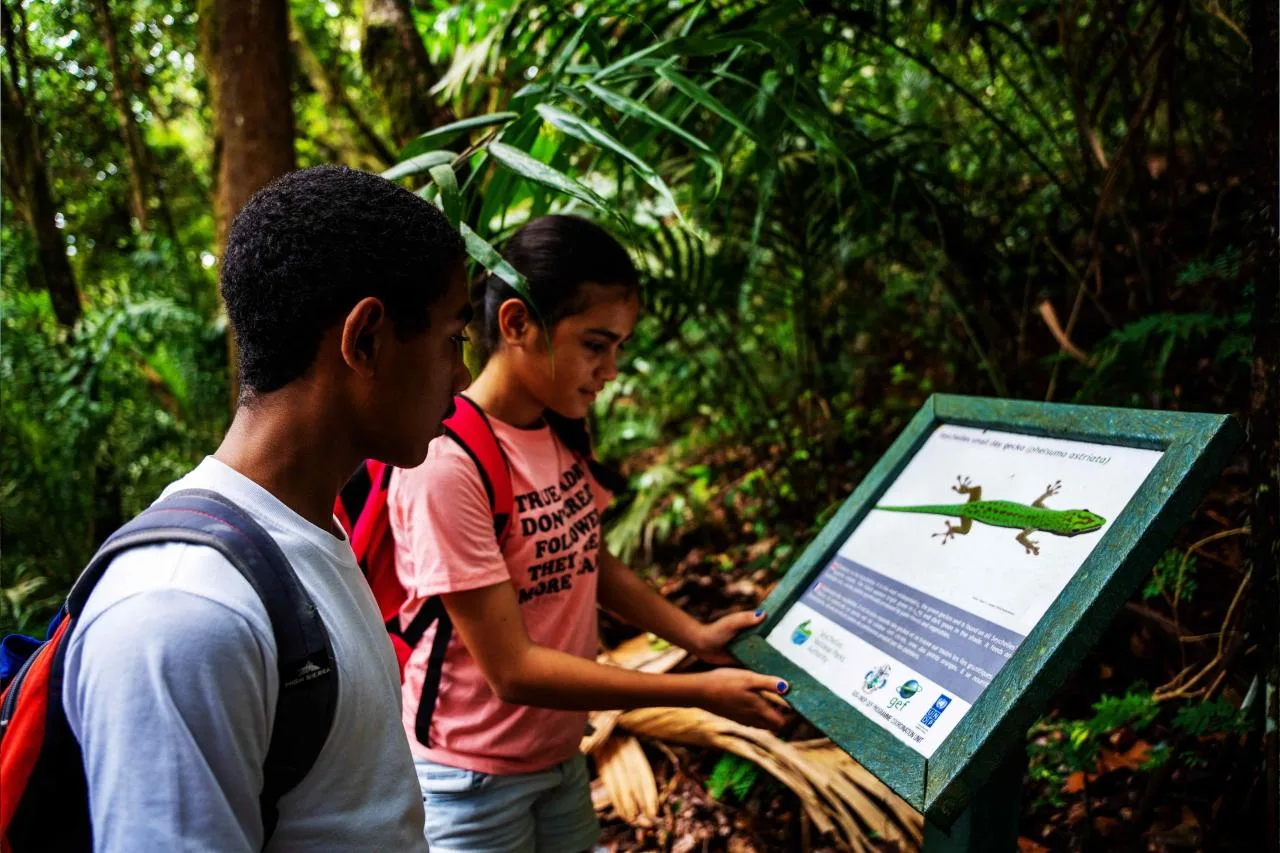 Half-Day Copolia Nature Guided Trail Hike
