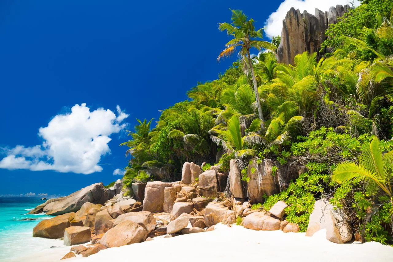 Full-Day Private Boat Charter with BBQ to Sister, Coco & Félicité