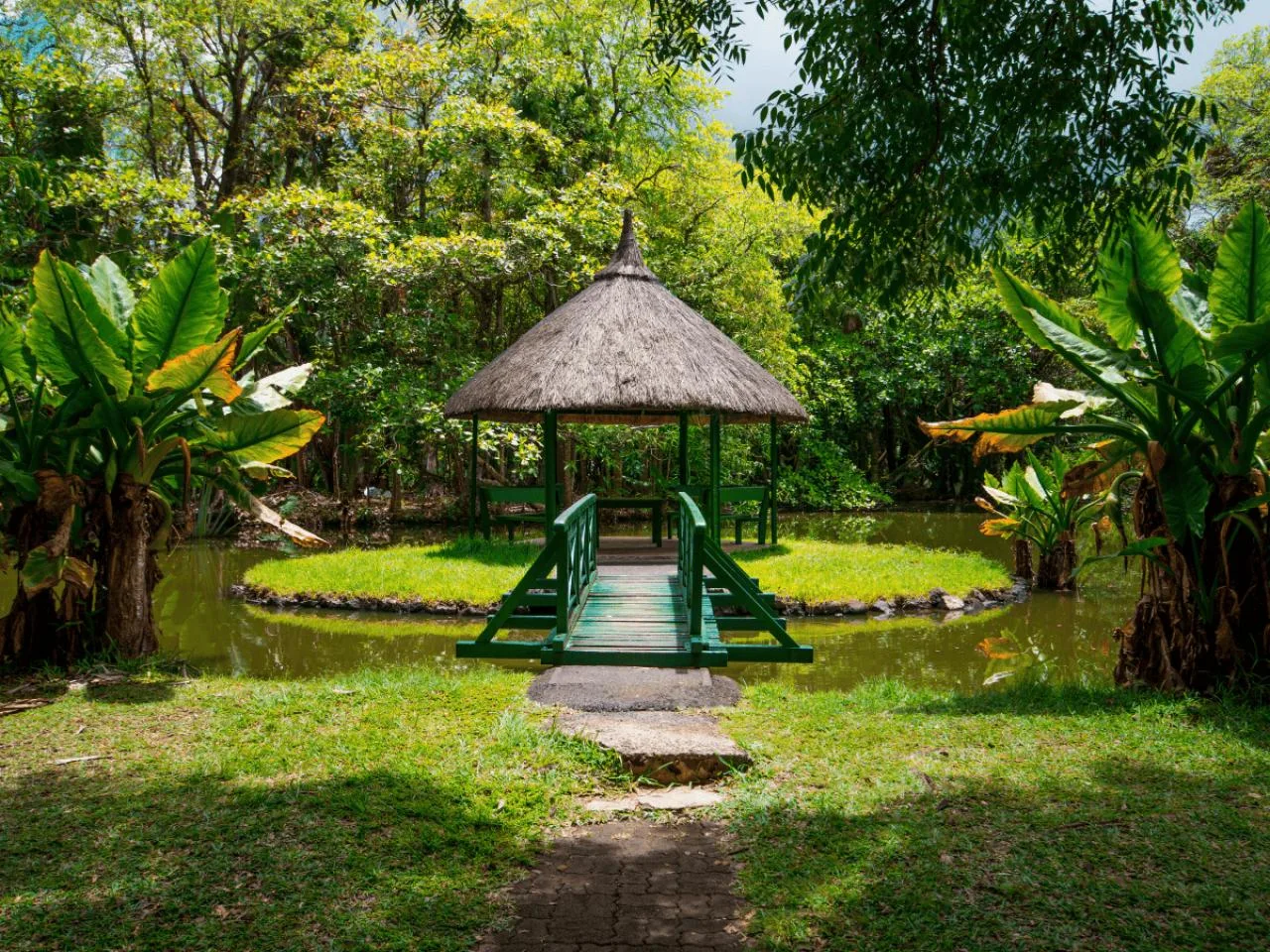 Explore Northern Mauritius Island: 8-Hour Tour for up to 5 pax
