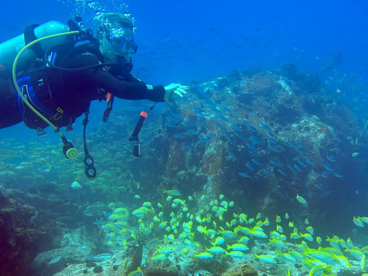 1 Dives with Normal Boat Trip in Mahé incl. Cylinder, Air & Weights