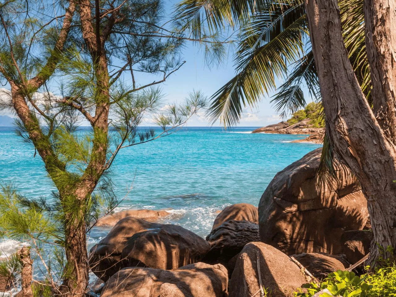 Full-Day Baie Ternay Marine Park from Mahé