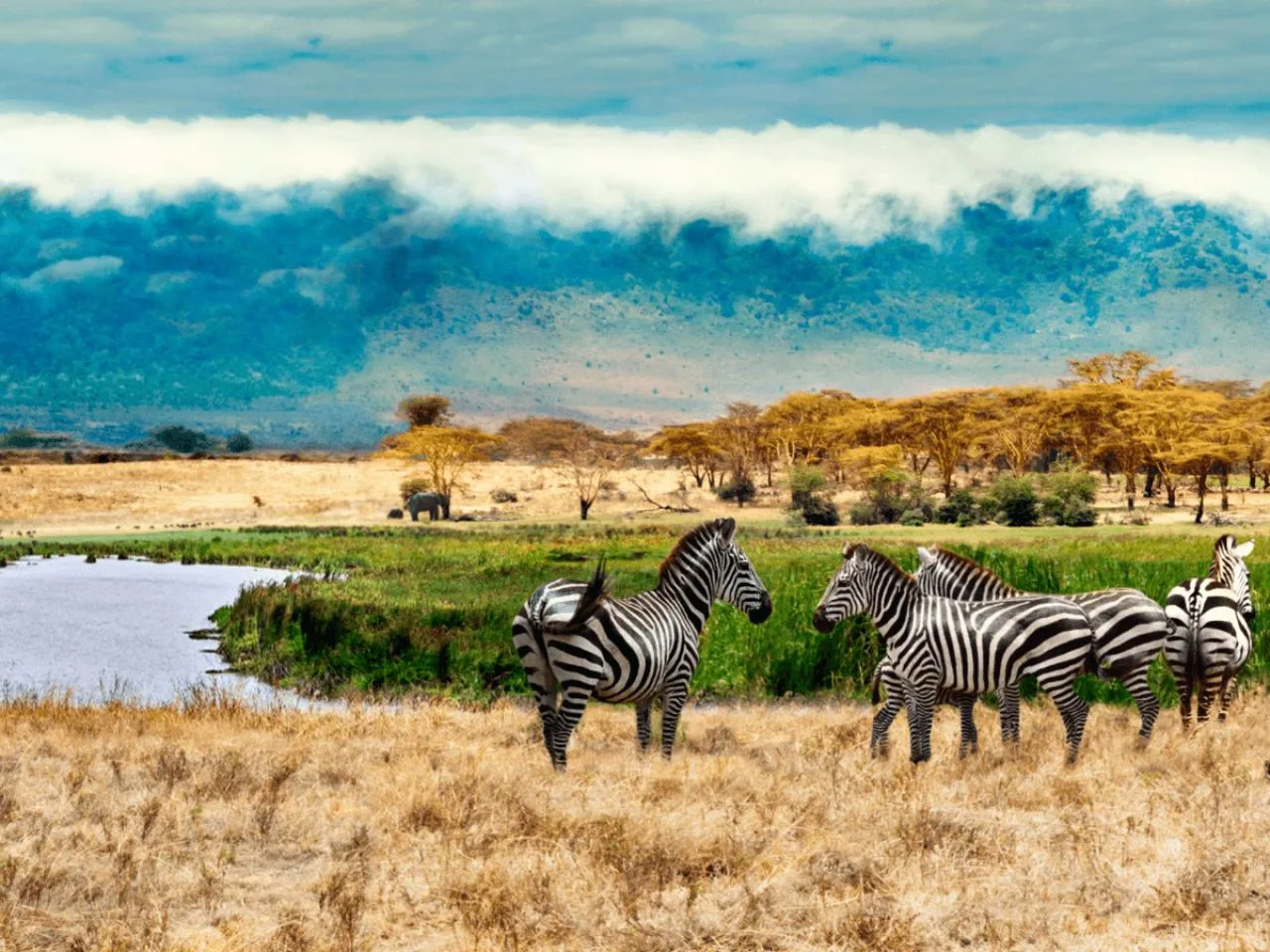 9-Day Kenya & Tanzania Safari