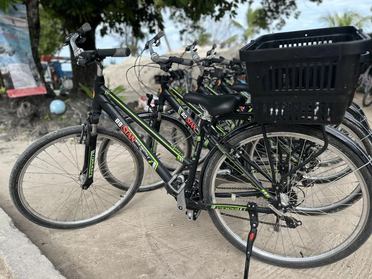 Bicicletta tedesca da donna con cestino - noleggio 1 giorno