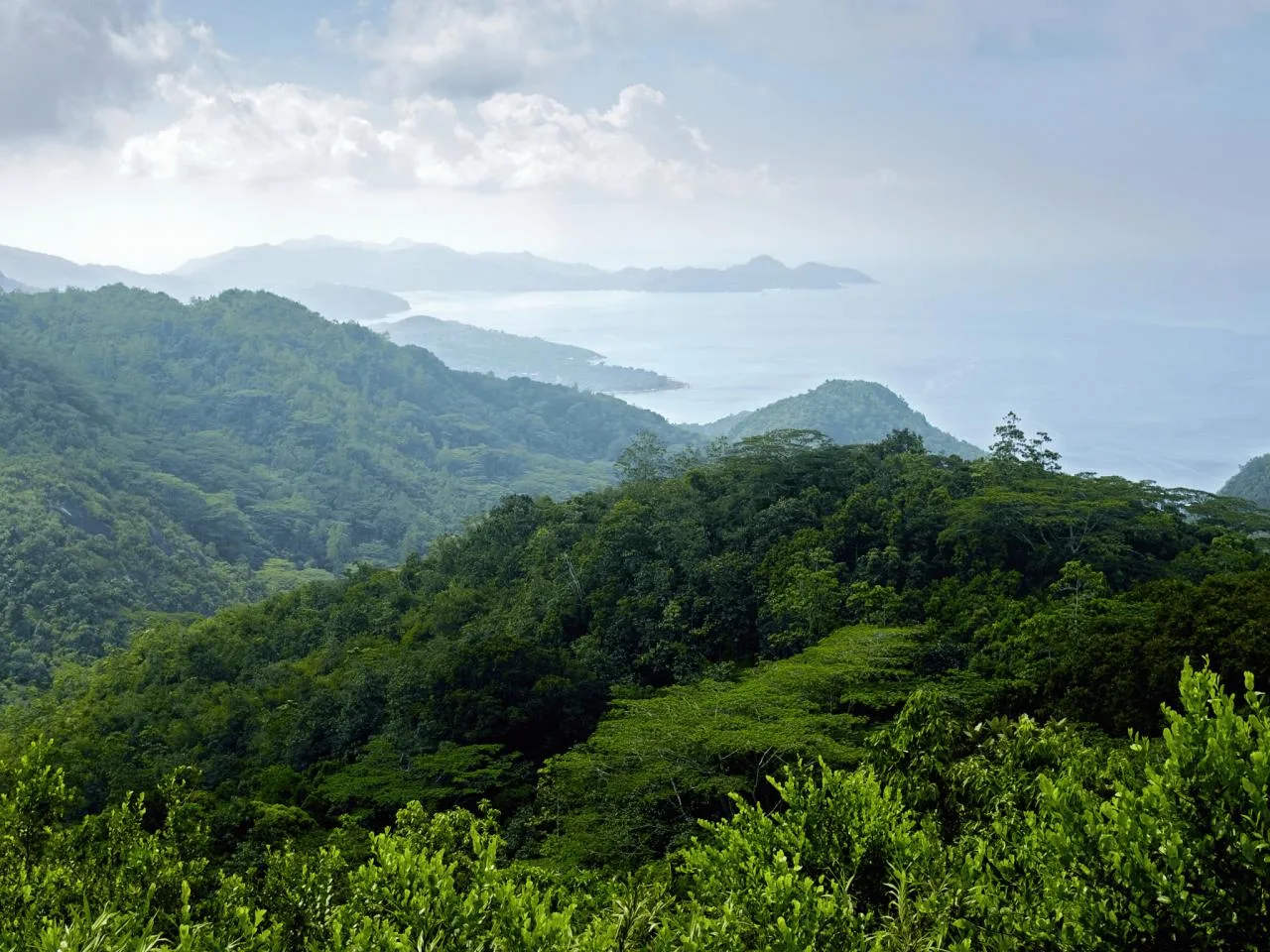 Best of Mahé Half-Day Tour | Seychelles Historical & Scenic Highlights