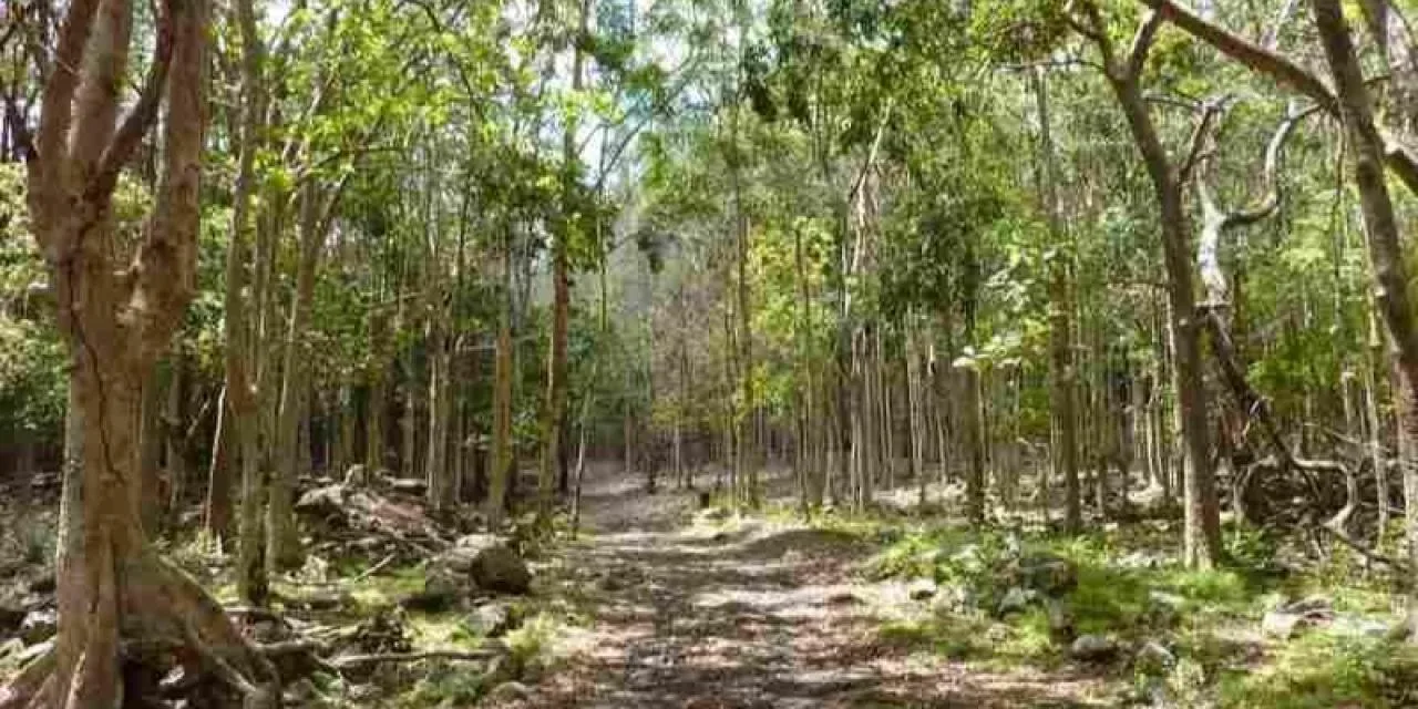 Tour di ecoturismo