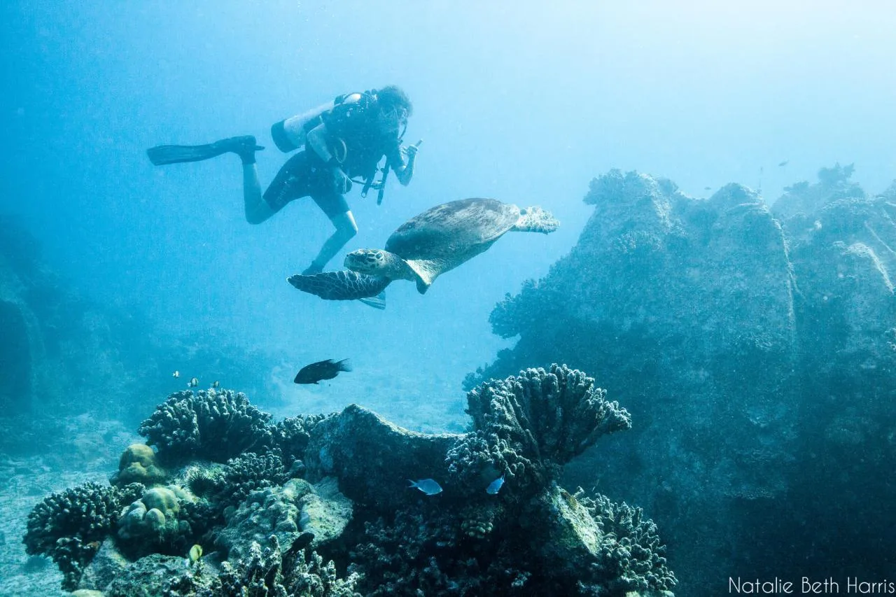 Tour de buceo de un día completo en barco con almuerzo criollo en La Digue