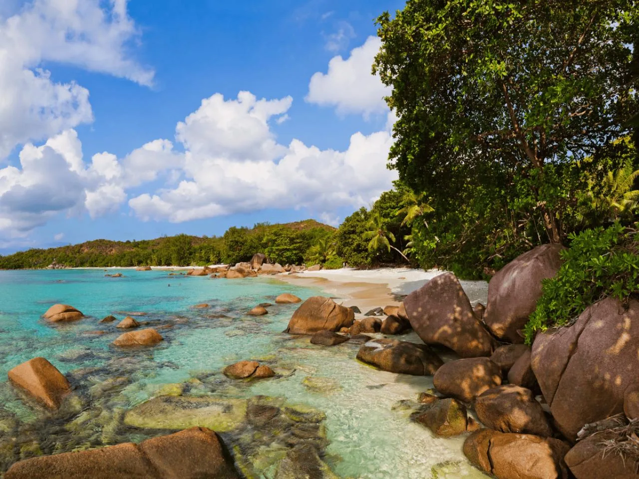 Tour de medio día por la isla Praslin: Vallée de Mai y Anse Lazio