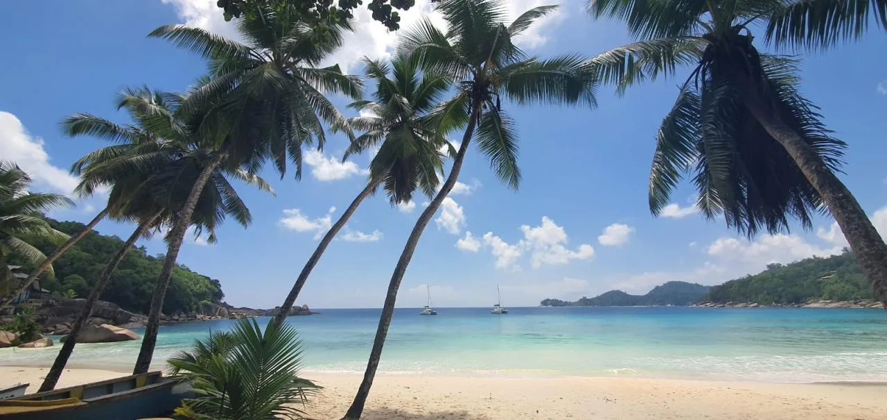 Mahe Full-Day Tour: Explore the Best of the Island in One Day!