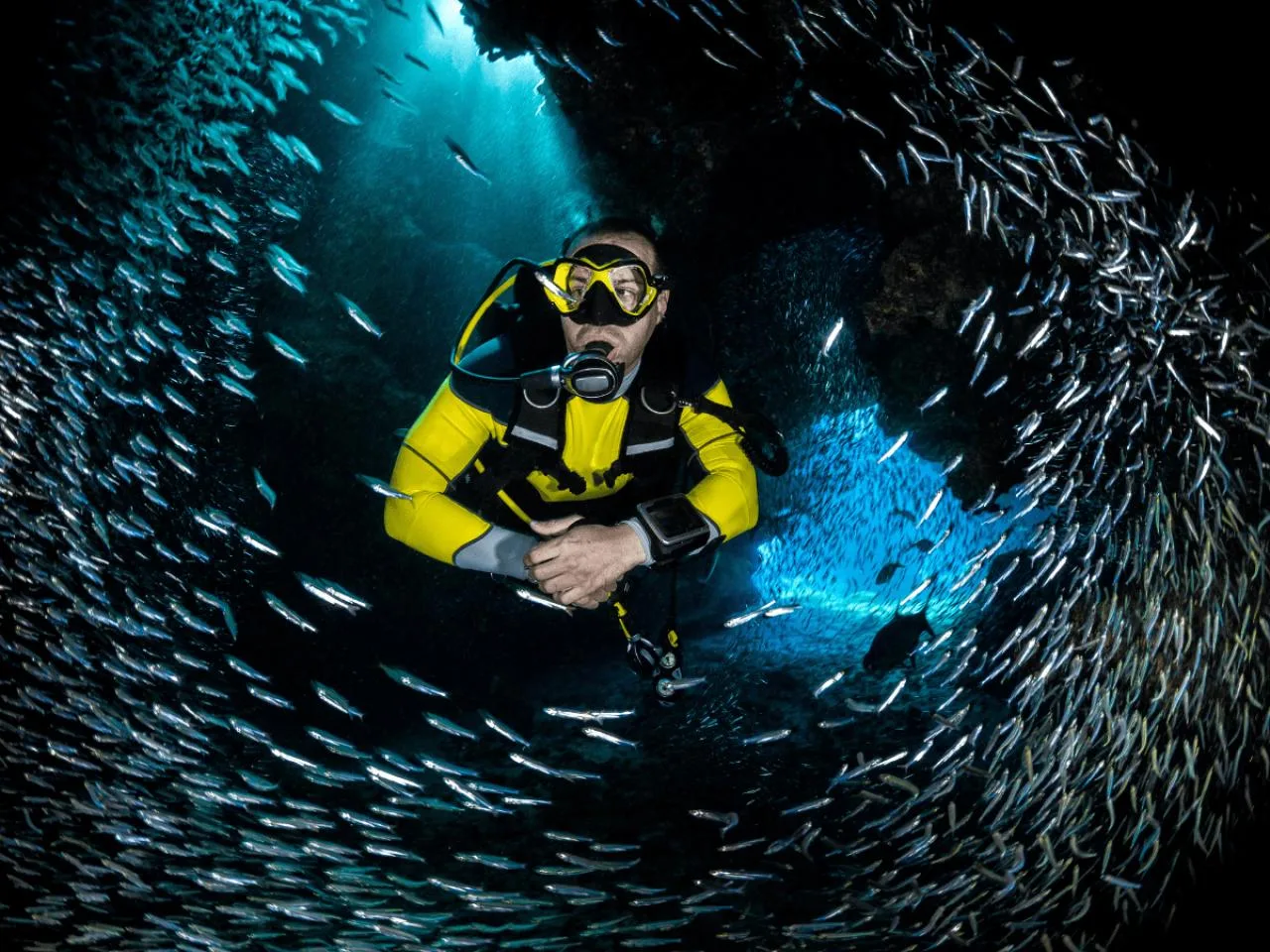 Night Dive in Mahe incl. Cylinder, Air & Weights