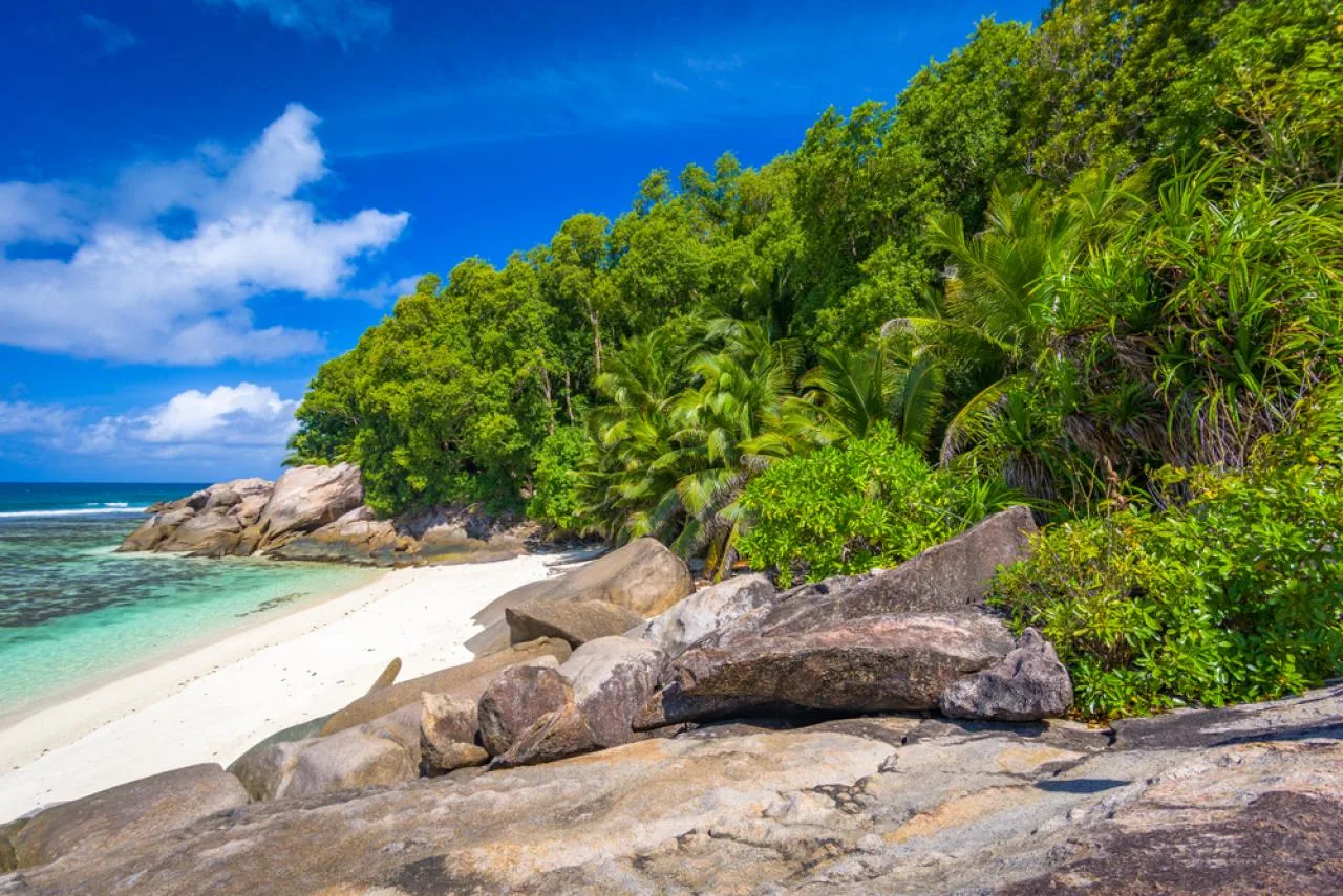 Privé boottour: Moyenne Island & Saint Anne Marine Park - hele dag