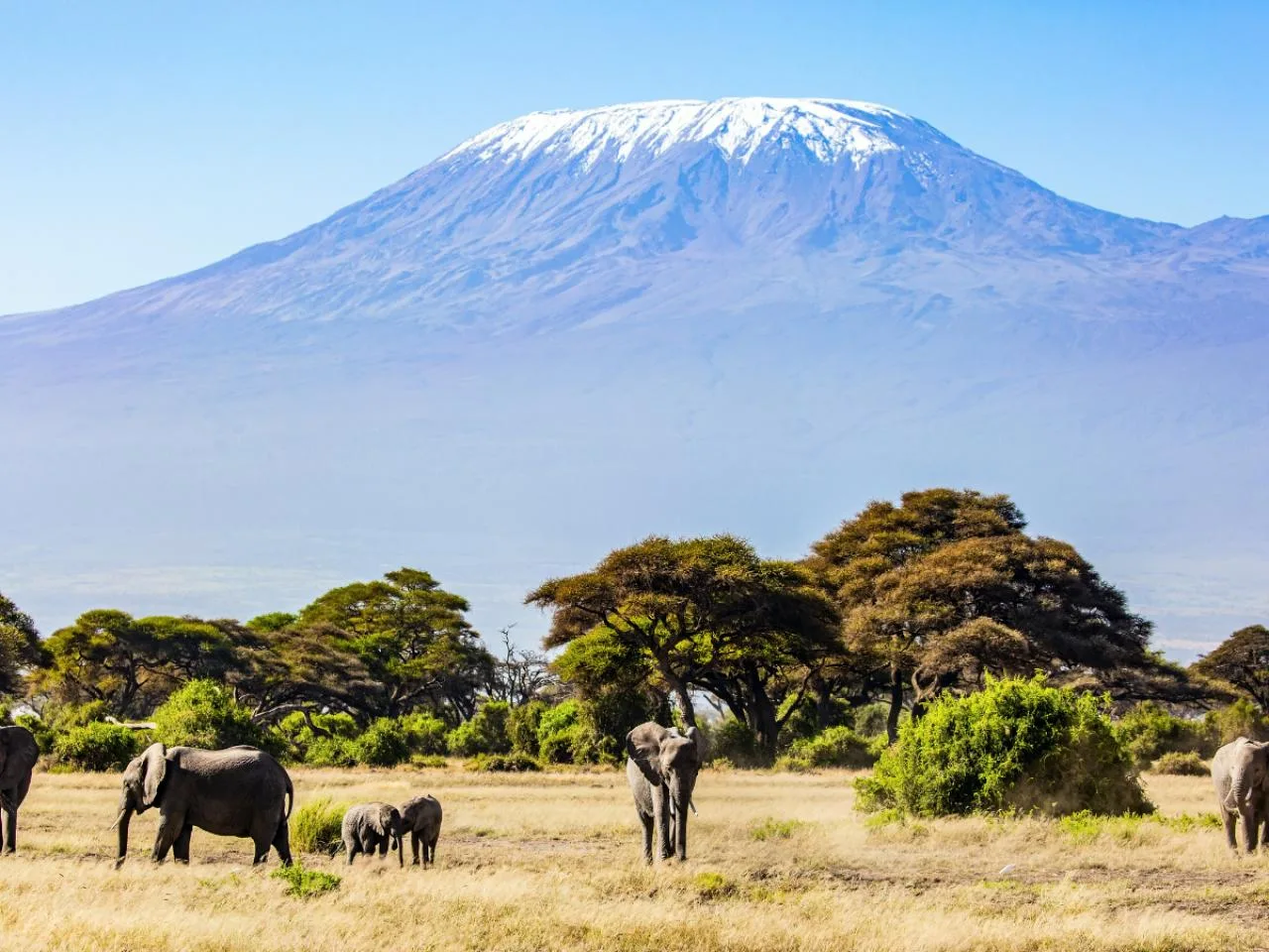 6 dagen Kilimanjaro beklimmen via de Machame-route