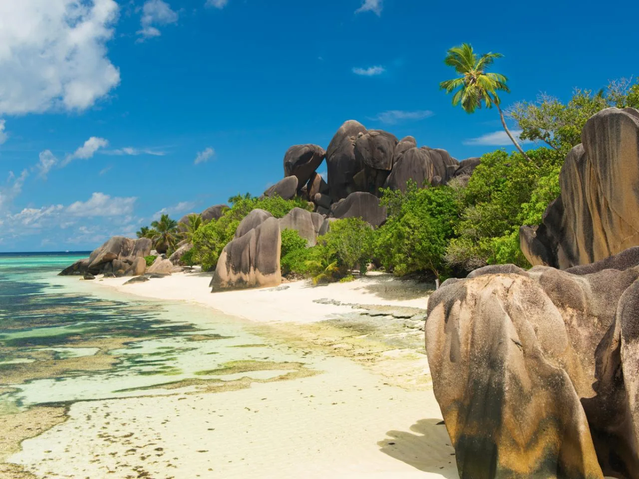 جولة خاصة بالعربة (البغي): الجانب الشمالي لجزيرة La Digue وشاطئ Anse Source D'Argent