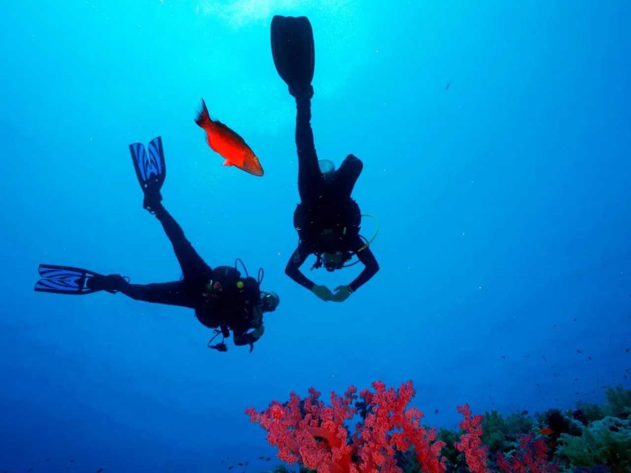 3-Dive PADI Adventure Diver Course incl. Equipment Rental in Mahé