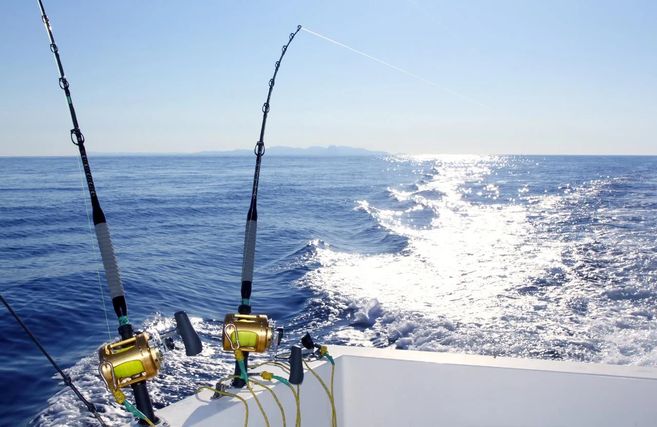Full-Day Deep Sea and In-Shore Trolling in Mahe Island