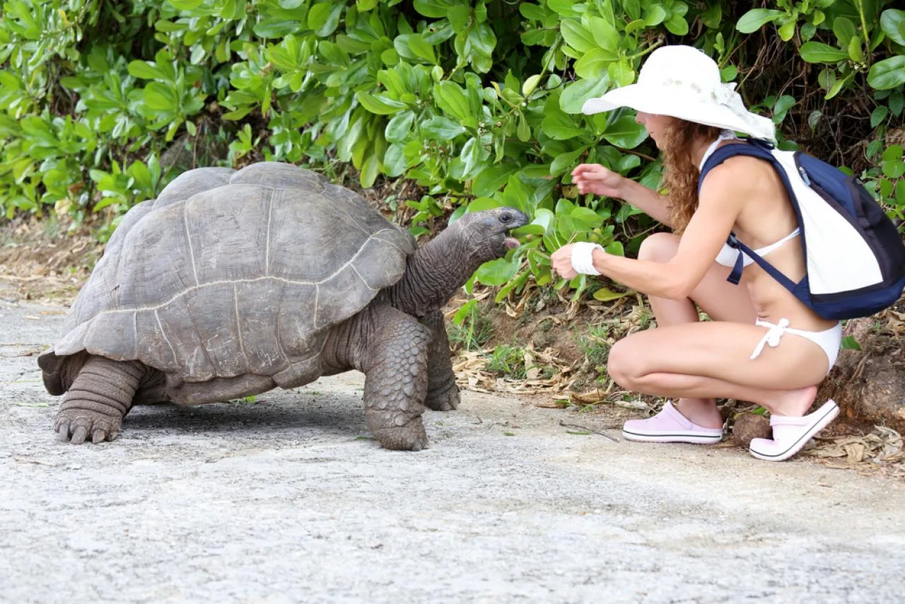 Full-Day Boat Tour to Cousin and La Digue Island