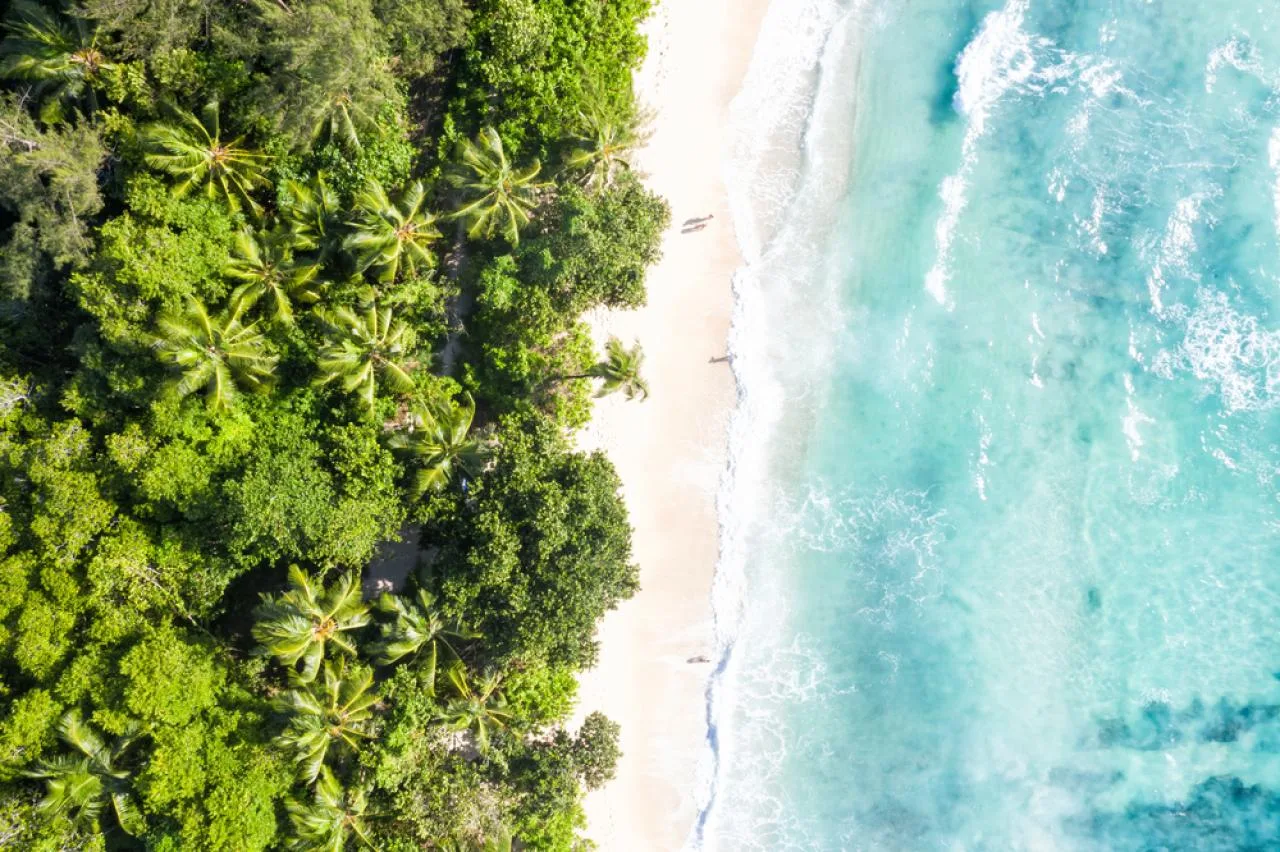 Passeio Terrestre Privado de Dia Completo pela Ilha de Mahé