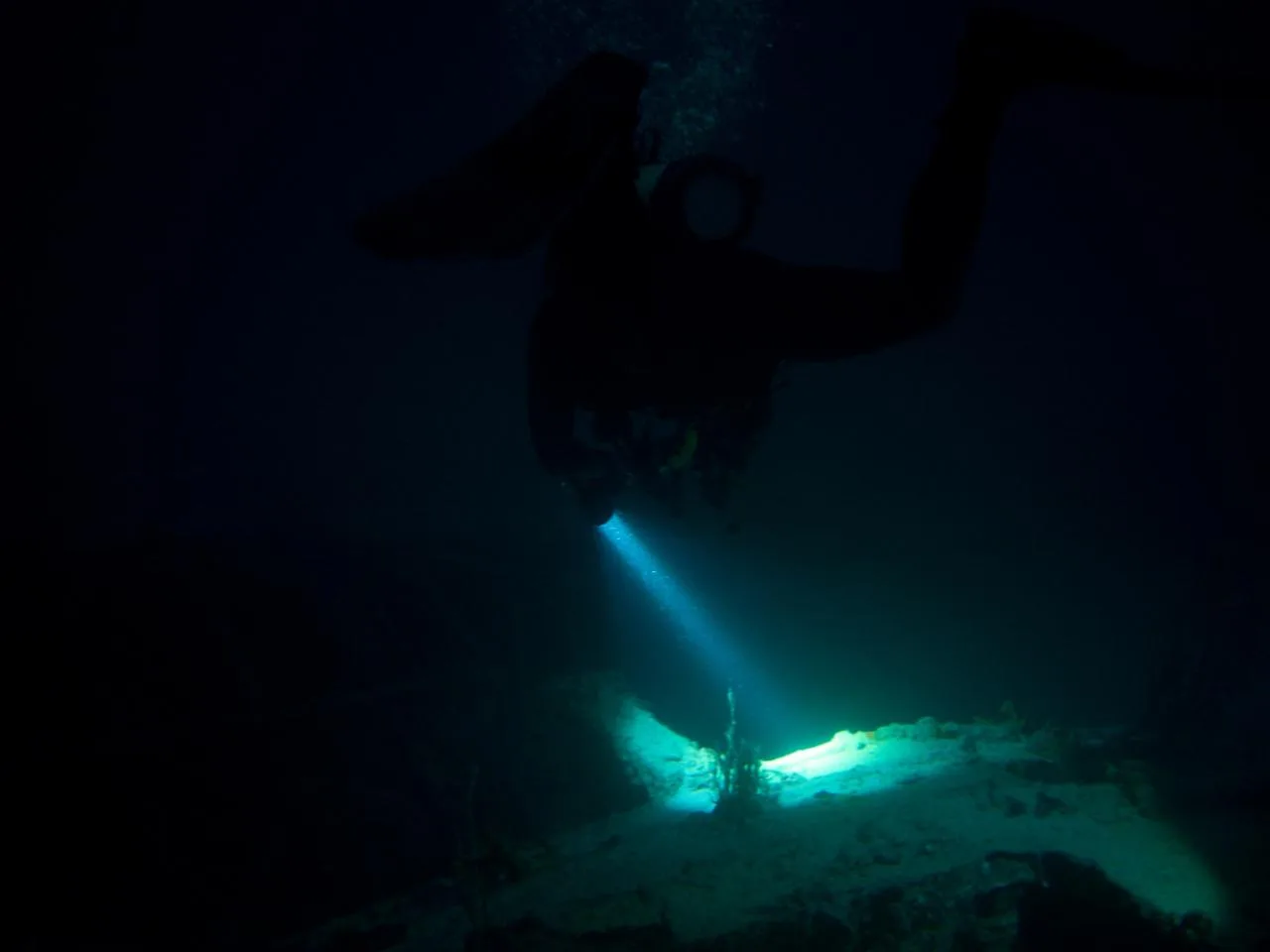 PADI Night Diver Specialty in Mahe incl. Cylinder, Air & Weights