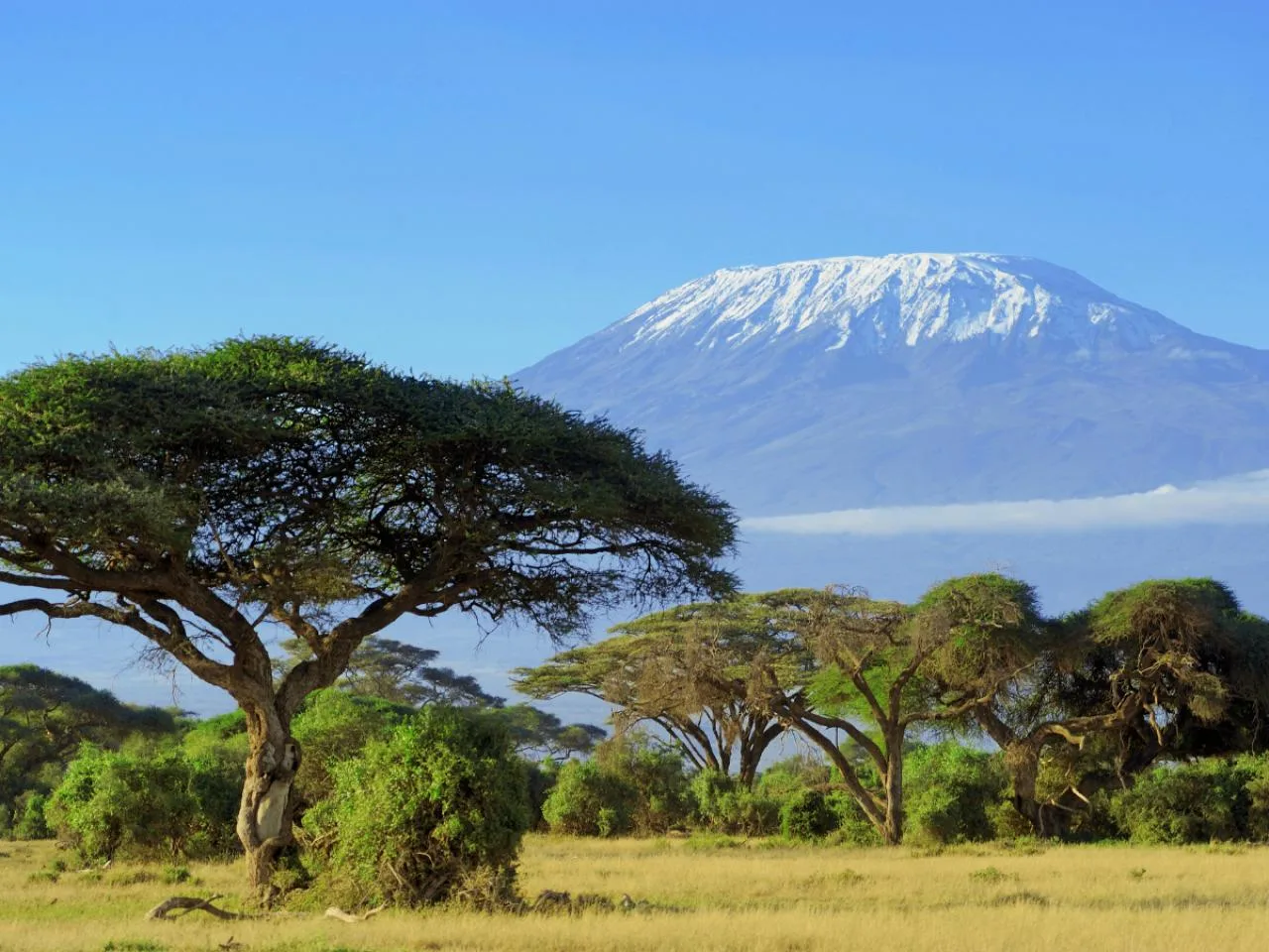 11-dniowe safari po Kenii i Tanzanii z vanem i samochodem 4x4