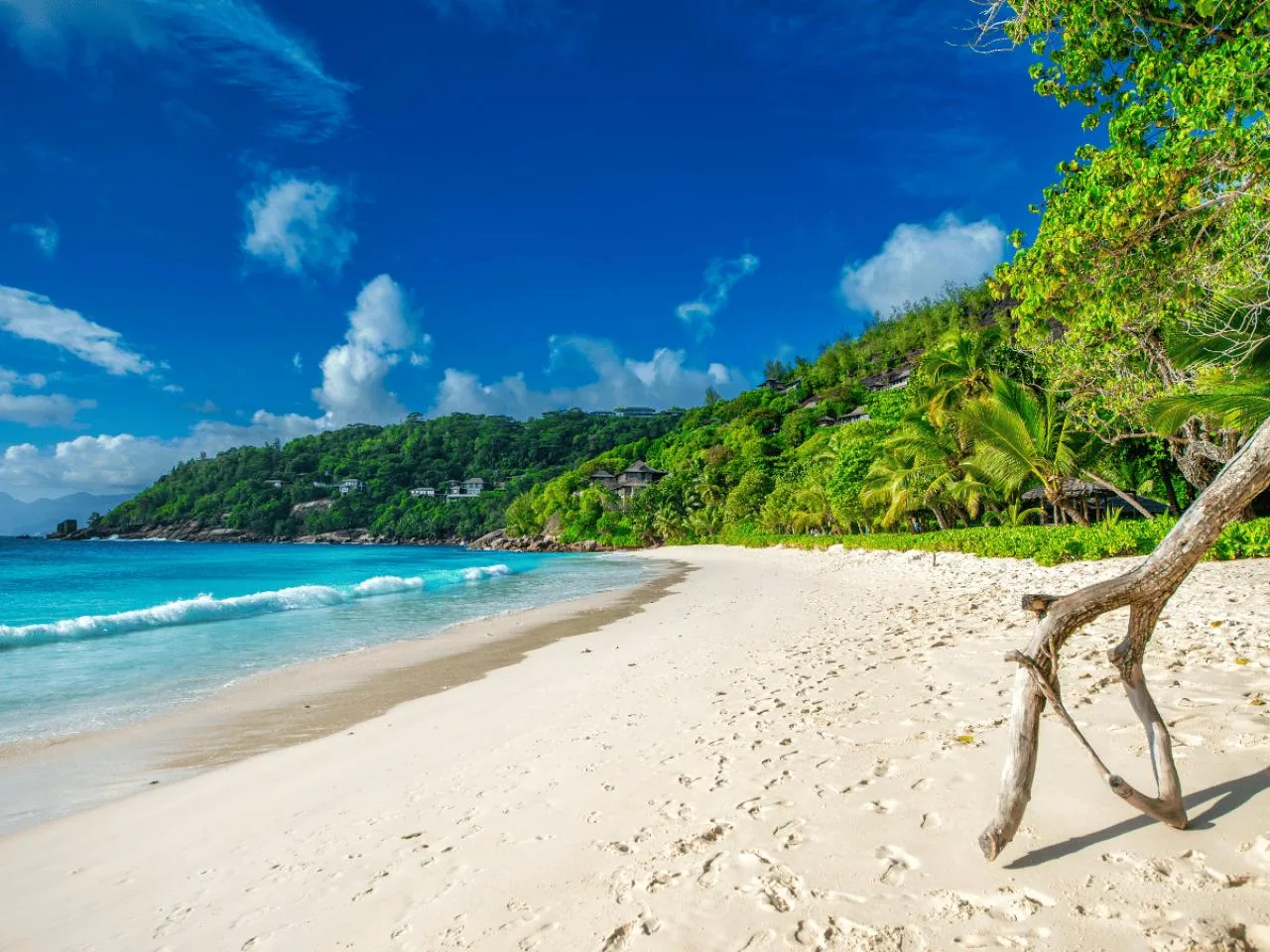 Seychelles : visite privée de 5 plages sur la côte sud de l'île de Mahé