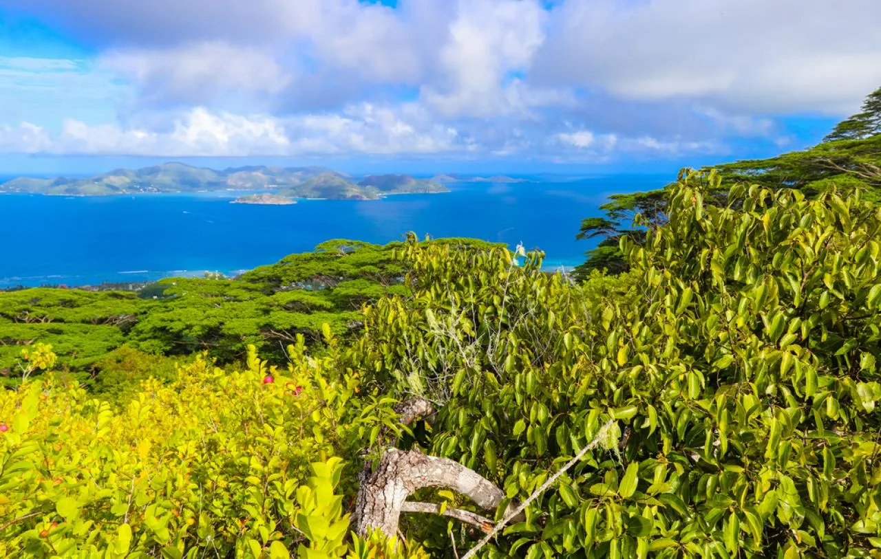 Tour privé - Sentier de randonnée spectaculaire d'Anse Coco via Belle Vue