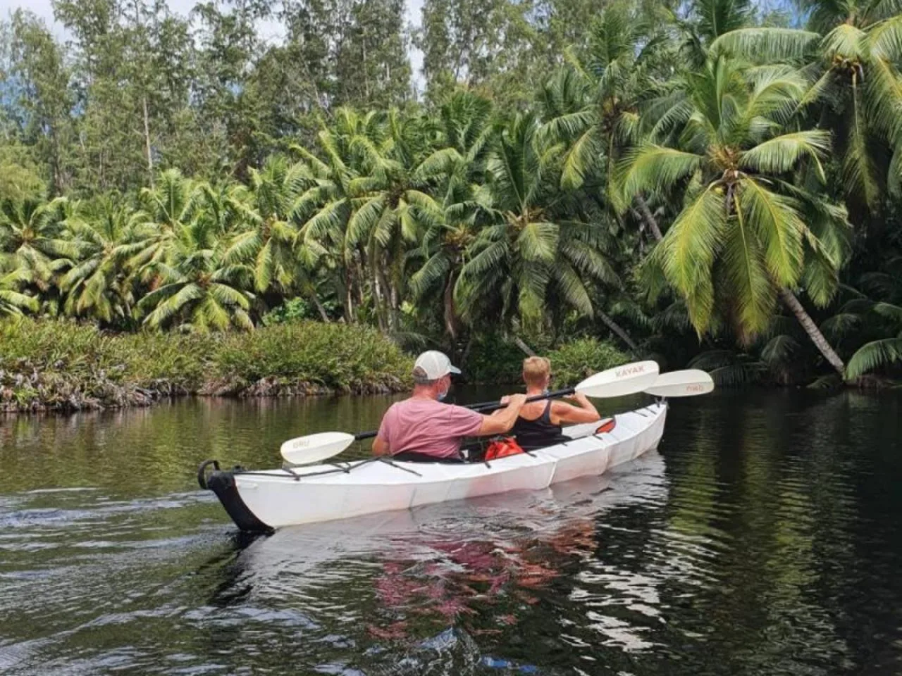 Tour in kayak guidato ed eco-sostenibile in un ambiente naturale incontaminato