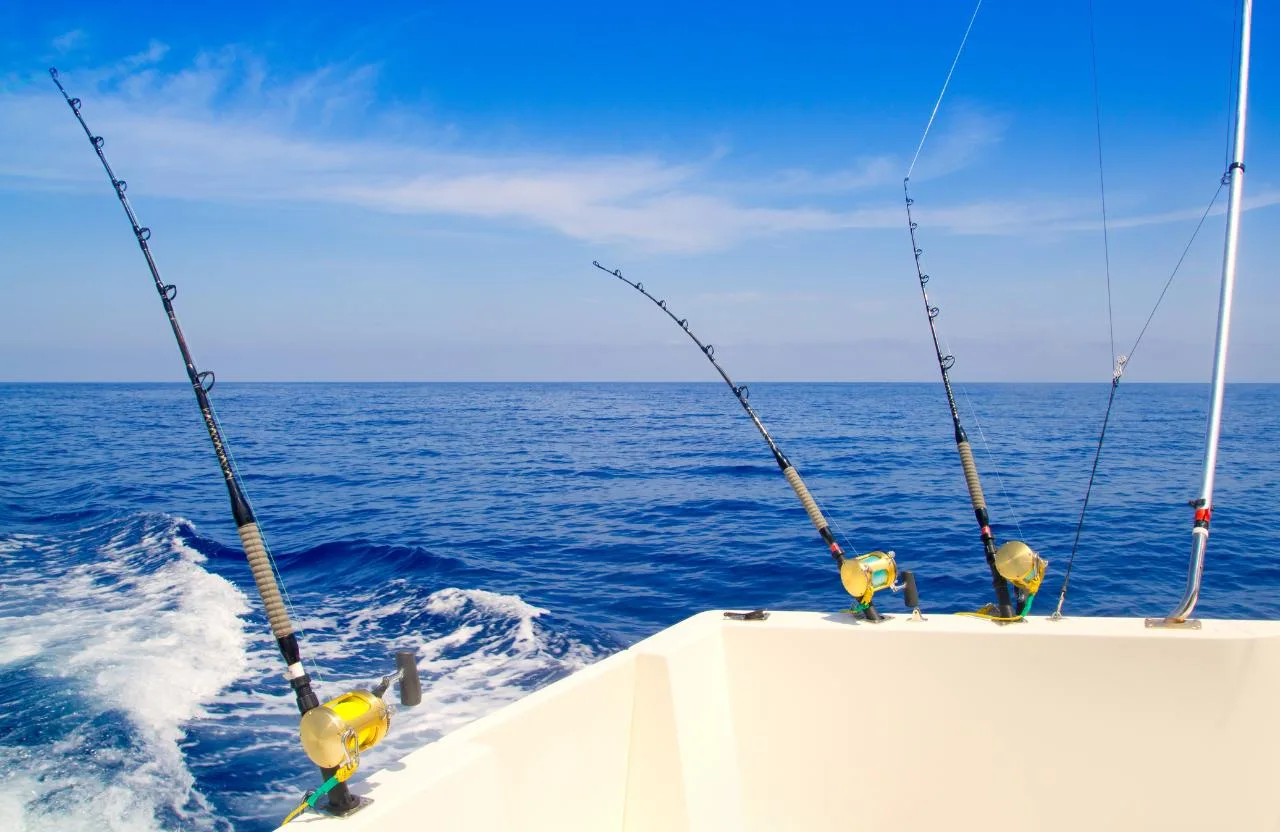 Demi-journée de pêche à la traîne en haute mer et côtière à l'île de Mahé