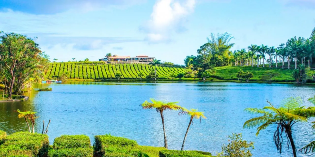 Visit & Lunch At Domaine De Bois Cheri