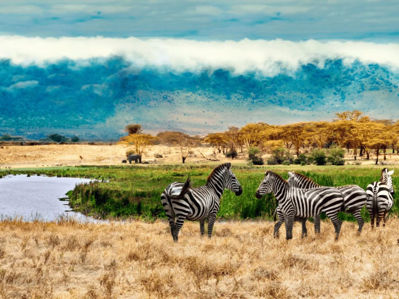 Kenya & Tanzania Group Safari Package