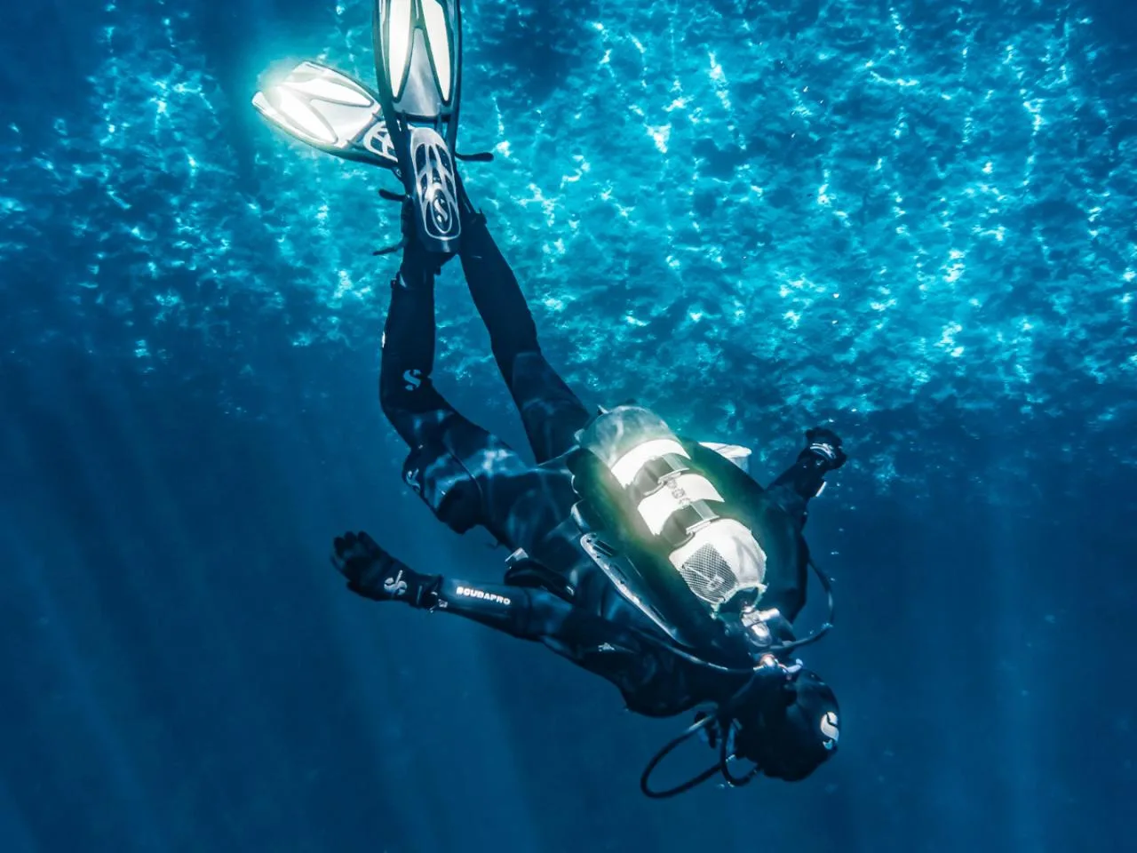 Single Dive Experience in Mahé Island, Seychelles