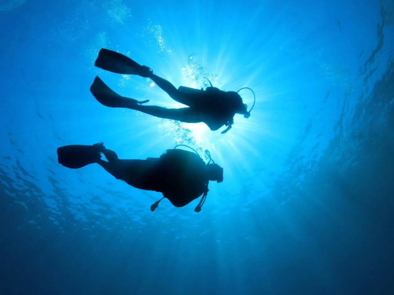 Программа Basic Diver SSI (занятие в бассейне + 1 морское погружение) на Mahe