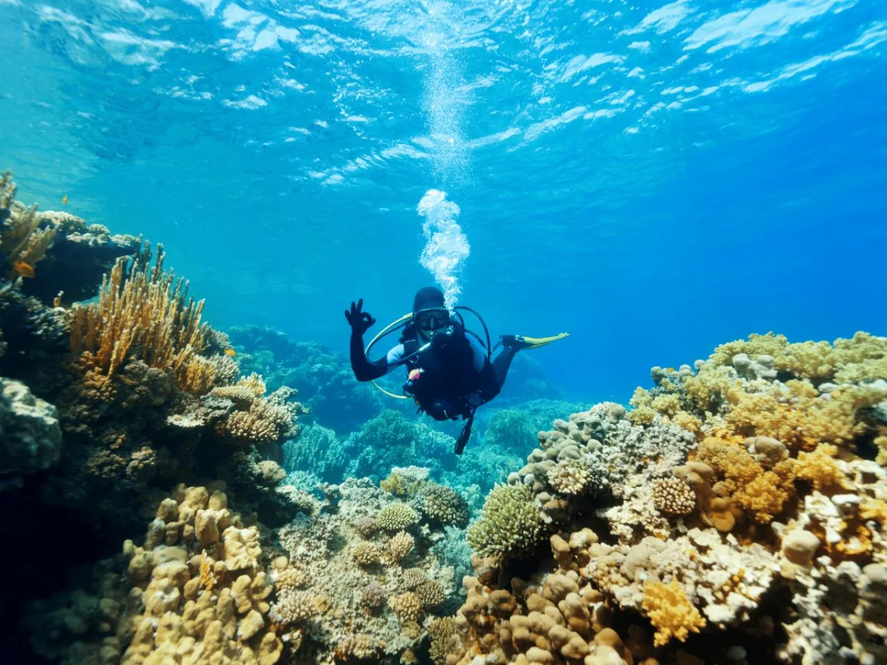 3-Dive PADI Adventure Course incl. Cylinder, Air & Weights in Mahé