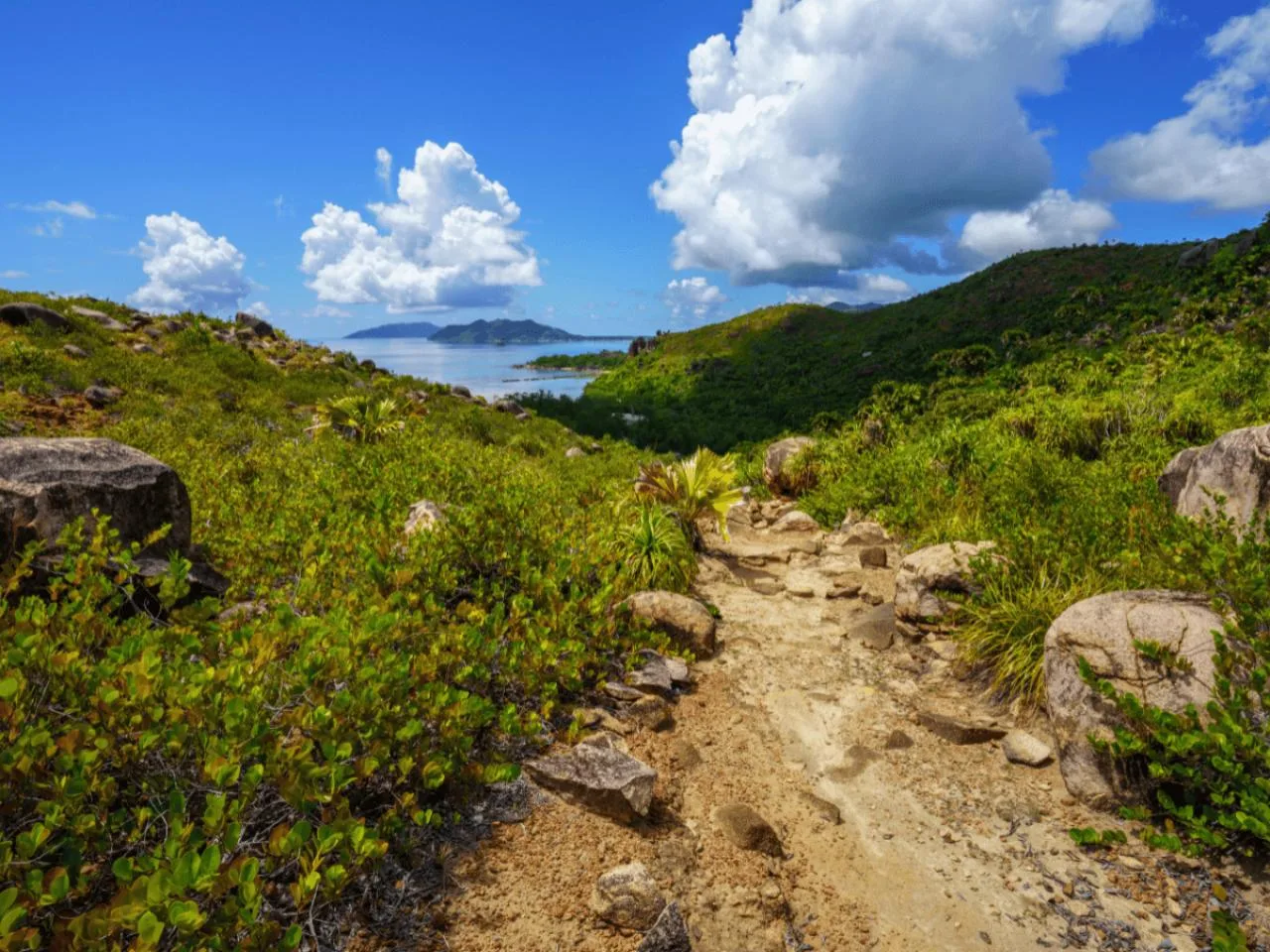 Curieuse & St. Pierre Islands Full-Day Tour with BBQ & Snorkeling