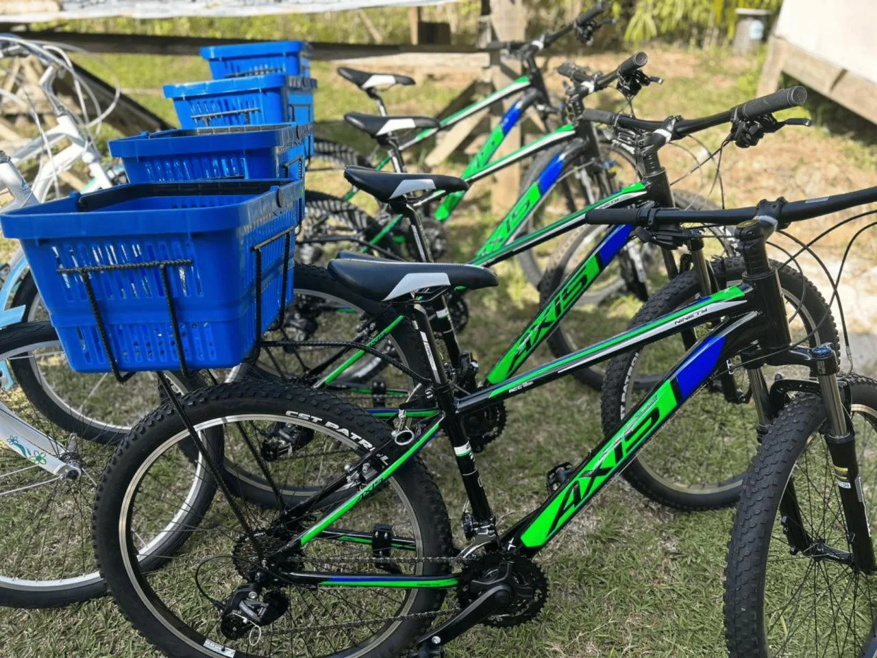 Serviço de Aluguel de Bicicletas de Montanha para Adultos