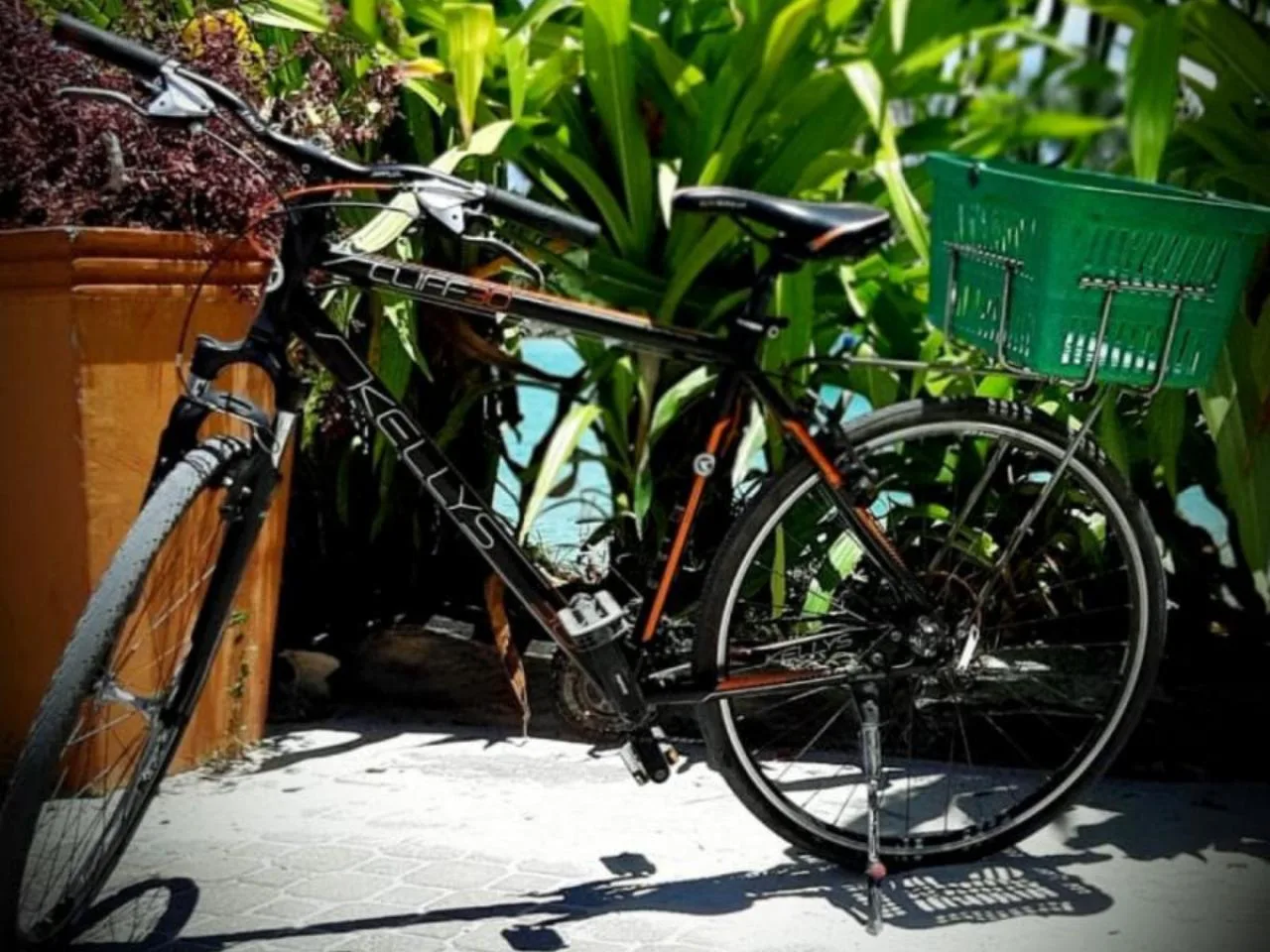 La Digue Bike Rental Package for Couples - Book 4 days and PAY ONLY 3