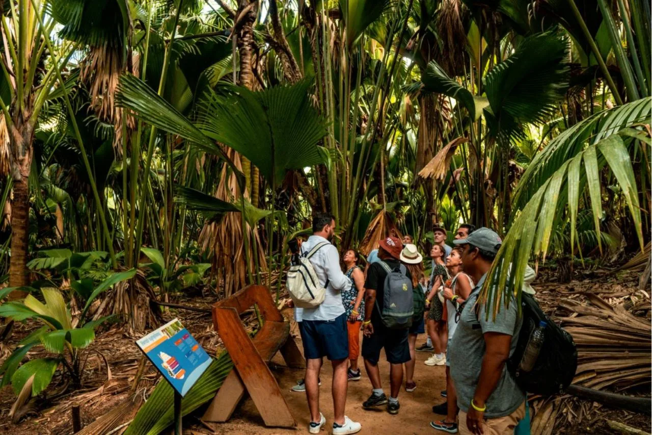 Excursión de un día completo a Vallée de Mai y Anse Lazio desde la isla de Mahé