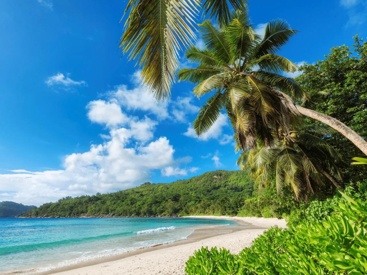Privétour van een hele dag naar het erfgoed van het eiland Praslin