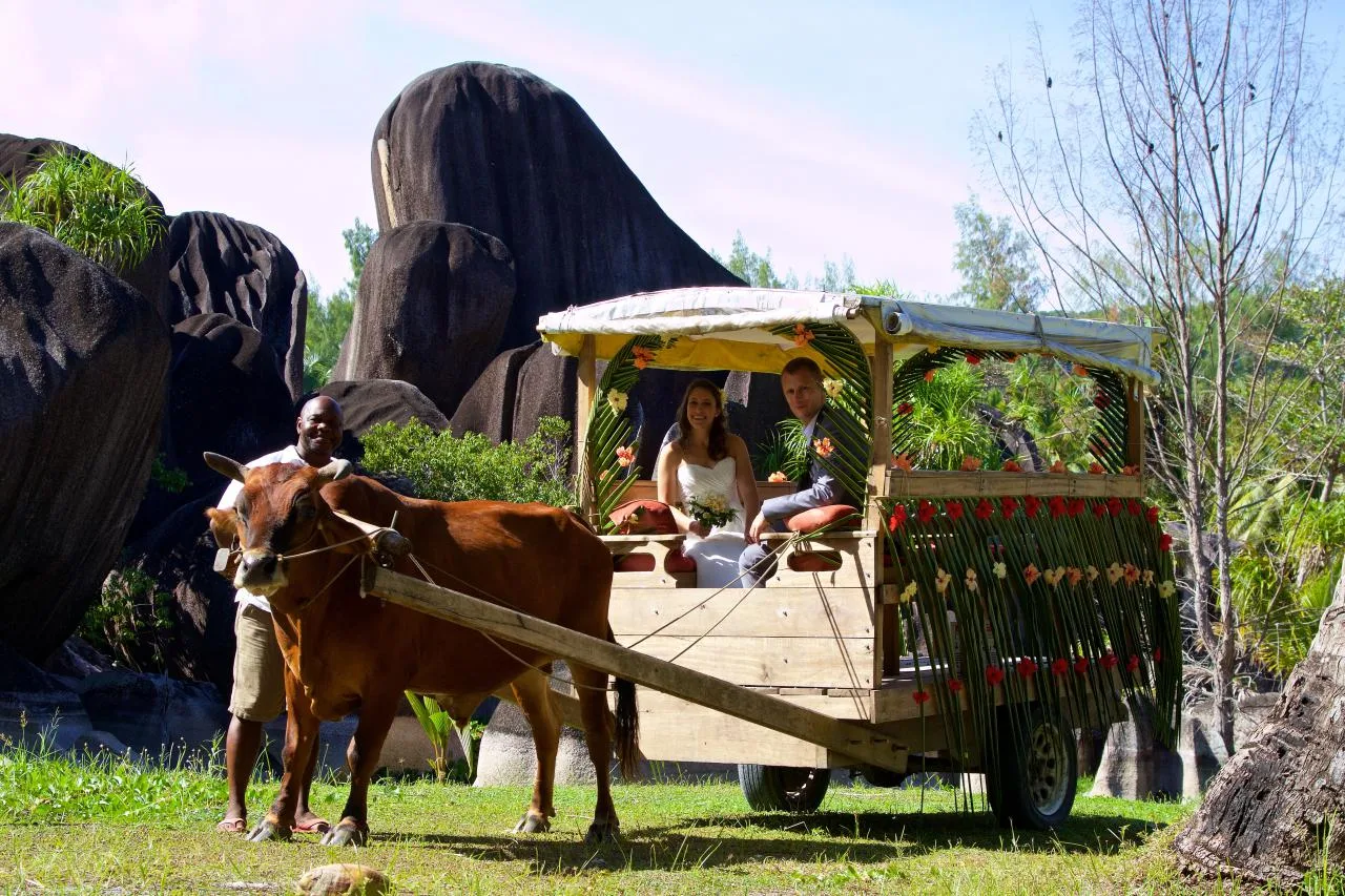 Halve dag privé ossenwagentour op La Digue Island voor wittebroodsparen