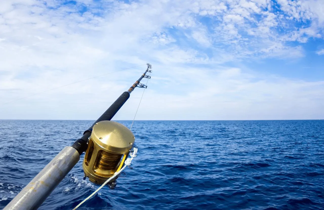 Riportando alla mente il divertimento: gita di pesca di mezza giornata intorno a La Digue