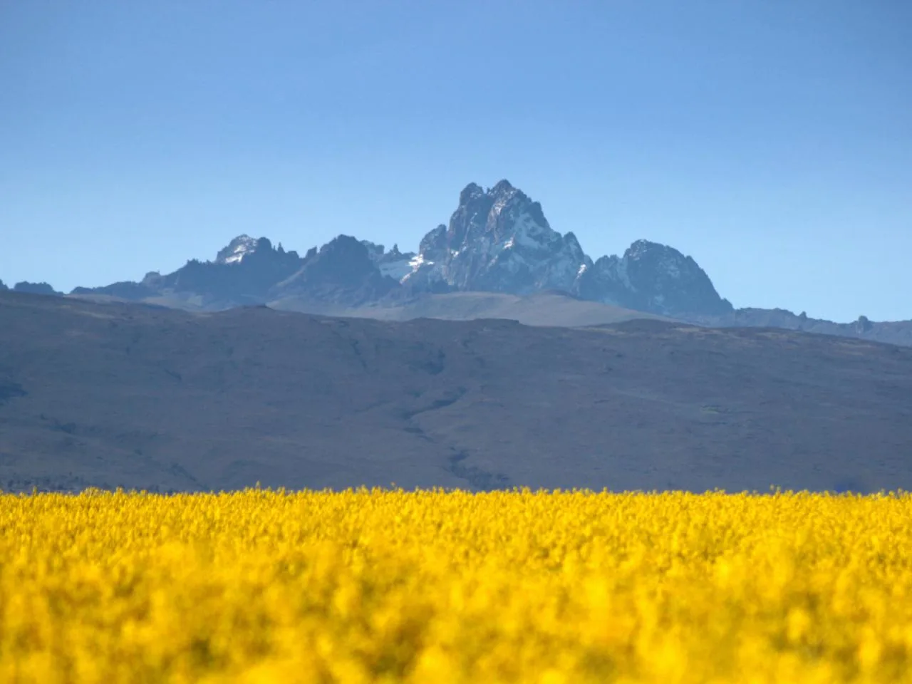 4 Dagen Beklimming Mt. Kenya via de Sirimon Route